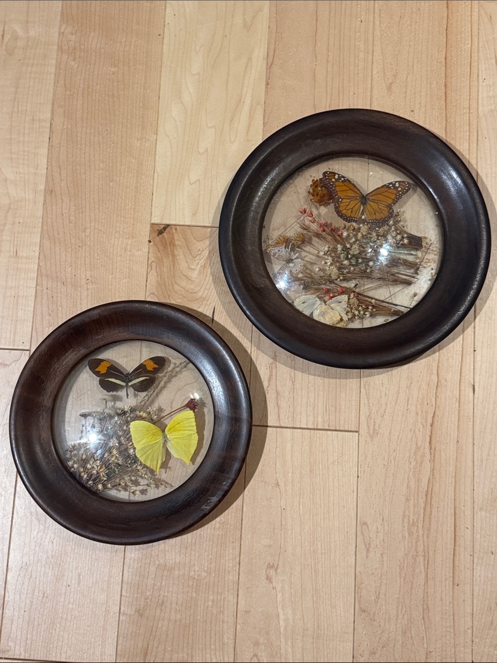 The Brazilia Collection by Dunston Vintage Brown Framed Wall Decor - Set of 2